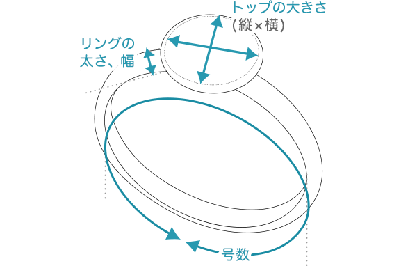 wristwatch バッグのサイズ